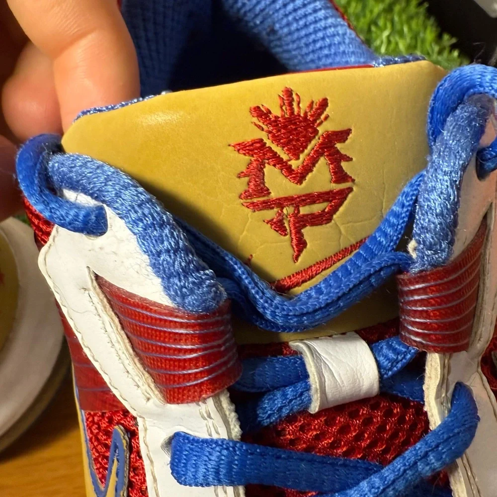 Nike Air Trainer SC 2010 Low Manny Pacquaio White Red Blue Gold_8